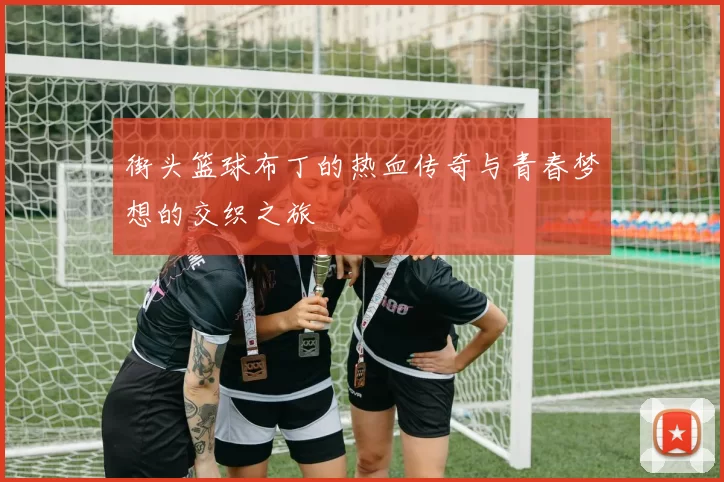 街头篮球布丁的热血传奇与青春梦想的交织之旅