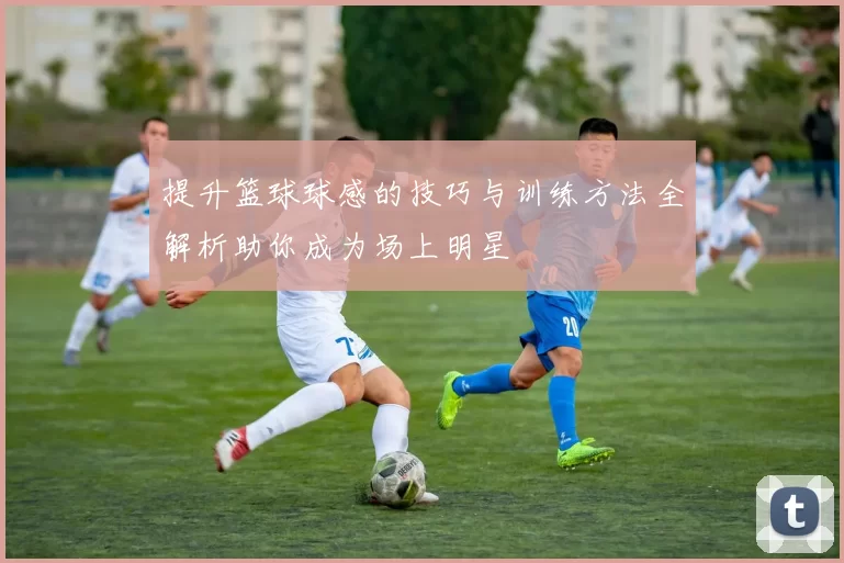 提升篮球球感的技巧与训练方法全解析助你成为场上明星